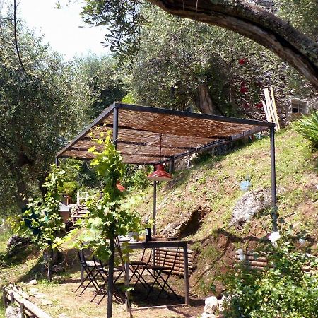Villa Il Giaggiolo Camaiore Exterior foto