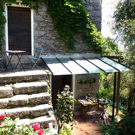 Villa Il Giaggiolo Camaiore Exterior foto