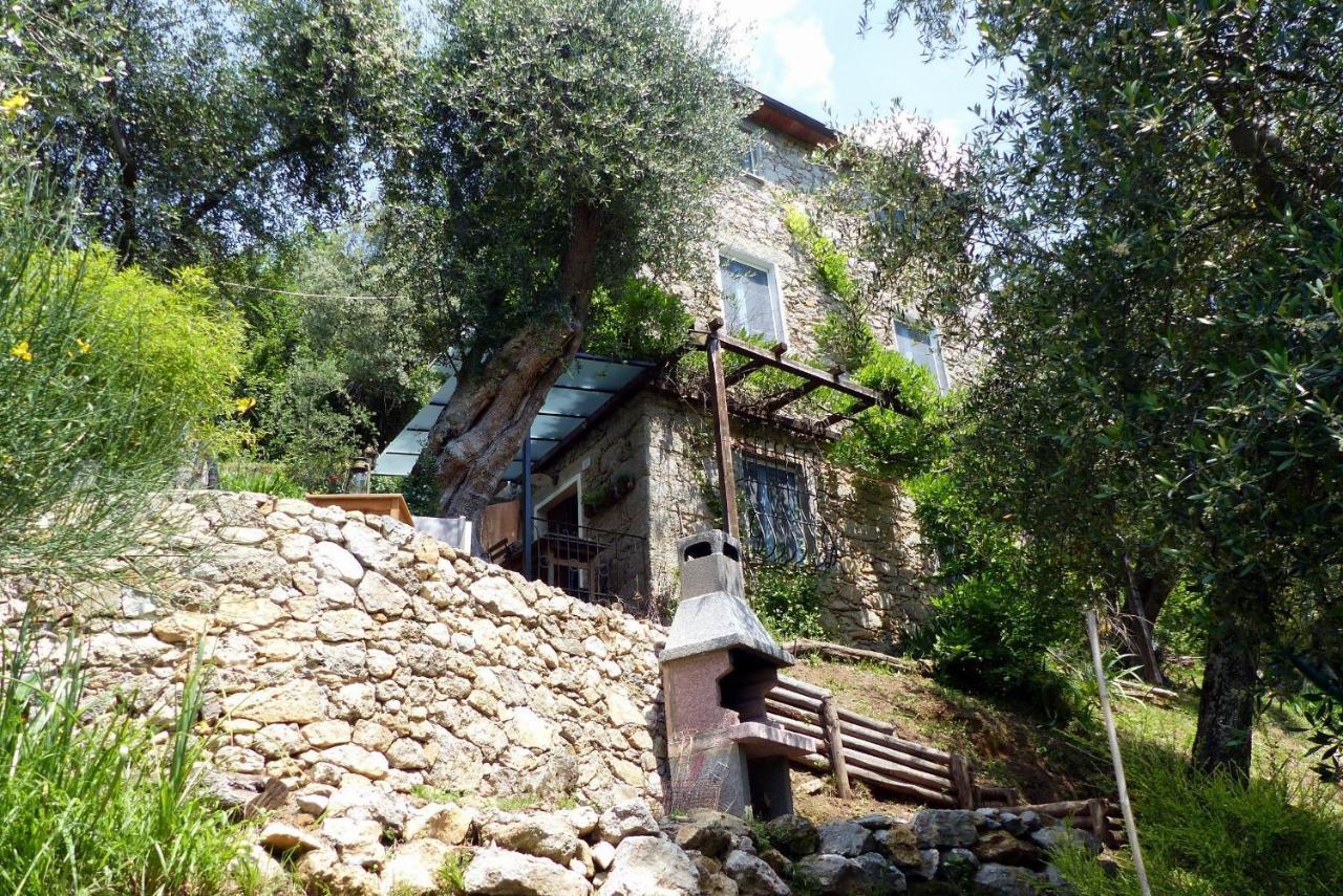 Villa Il Giaggiolo Camaiore Exterior foto
