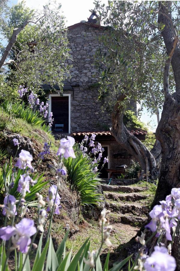 Villa Il Giaggiolo Camaiore Exterior foto