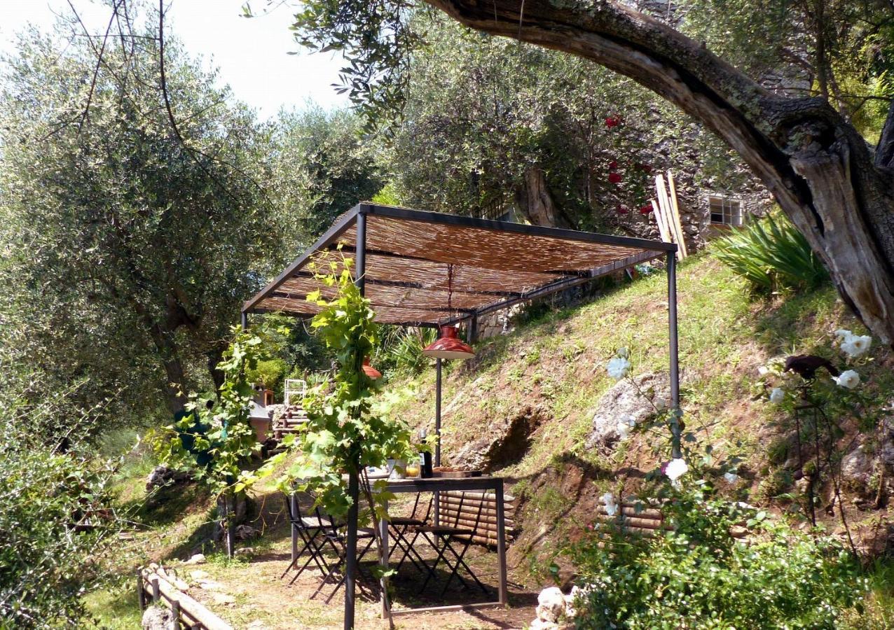 Villa Il Giaggiolo Camaiore Exterior foto