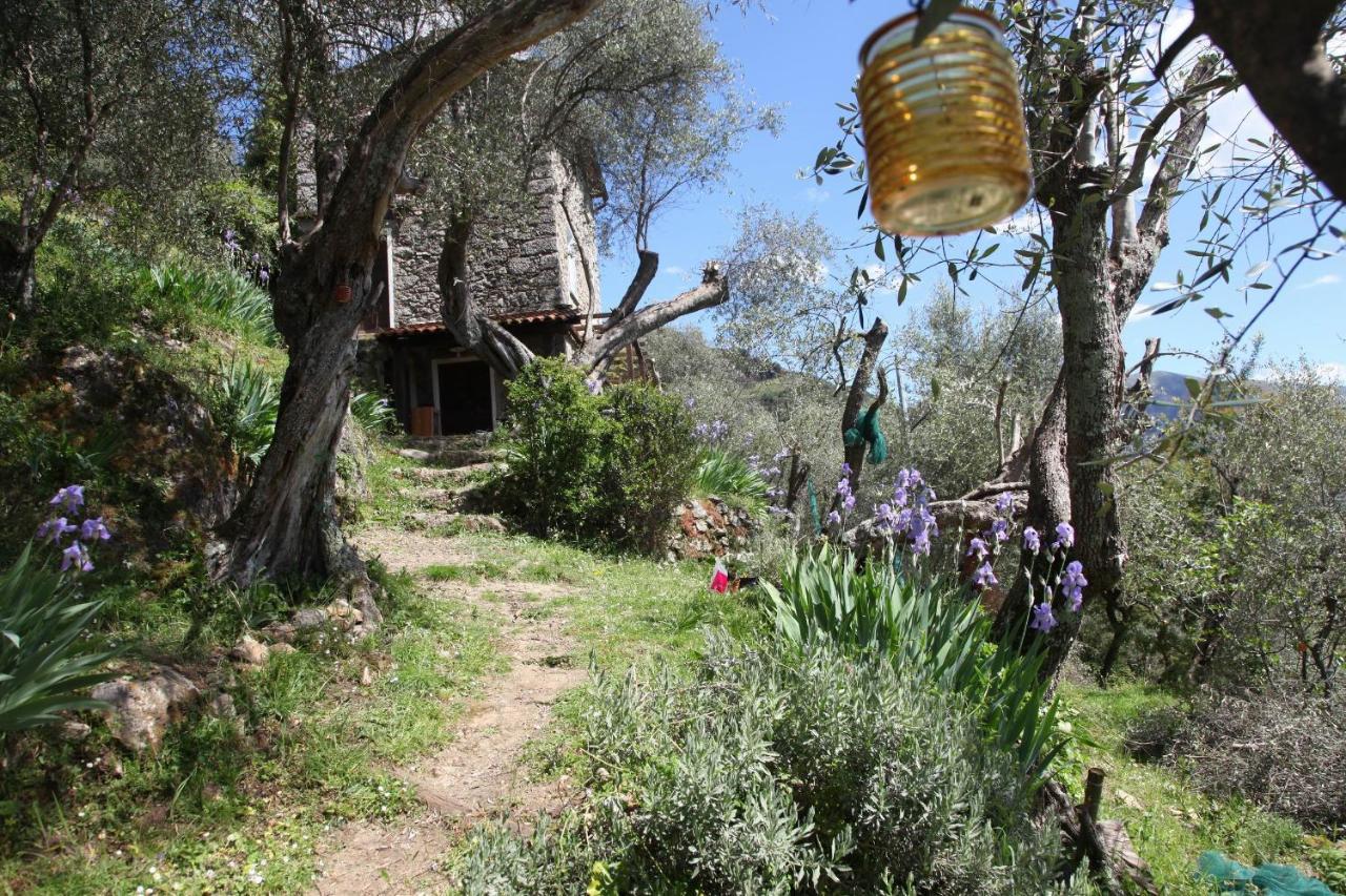 Villa Il Giaggiolo Camaiore Exterior foto