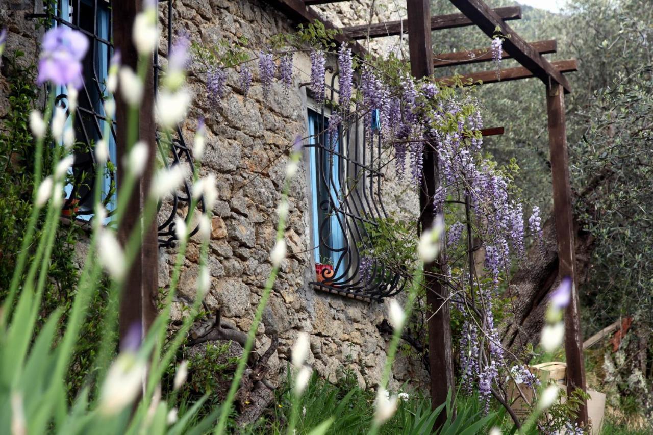 Villa Il Giaggiolo Camaiore Exterior foto