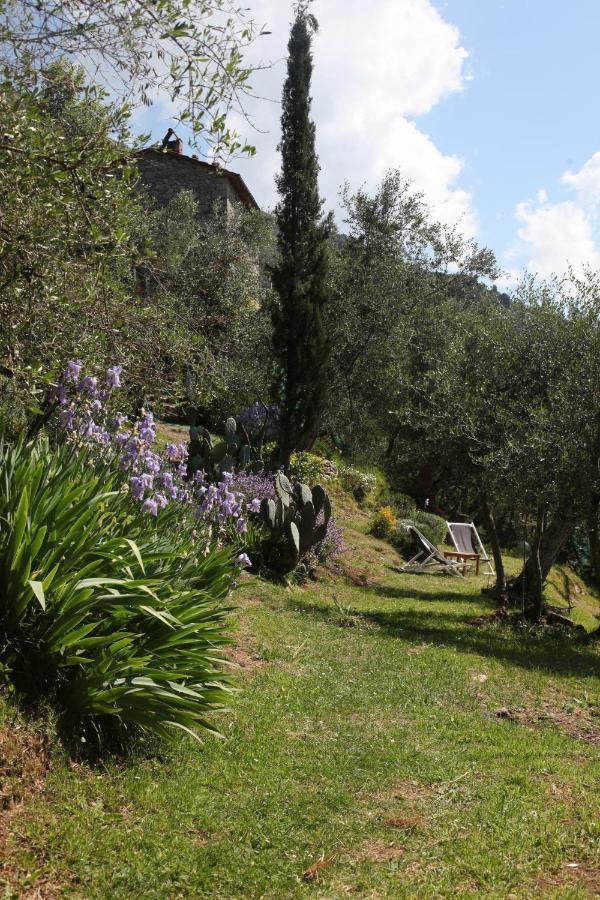 Villa Il Giaggiolo Camaiore Exterior foto