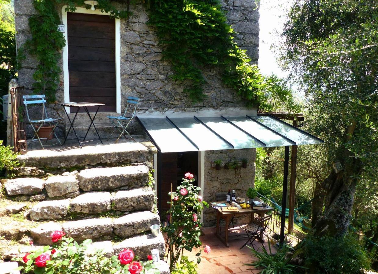 Villa Il Giaggiolo Camaiore Exterior foto