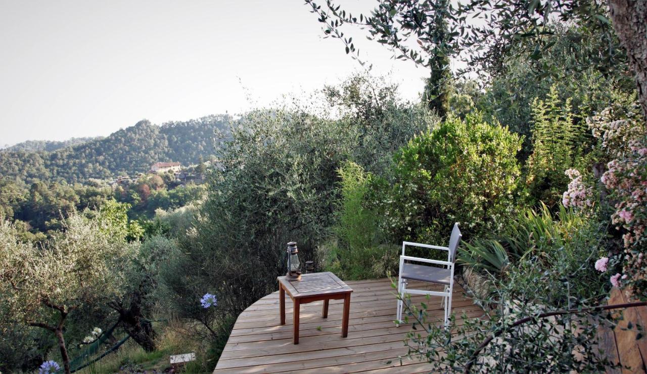 Villa Il Giaggiolo Camaiore Exterior foto